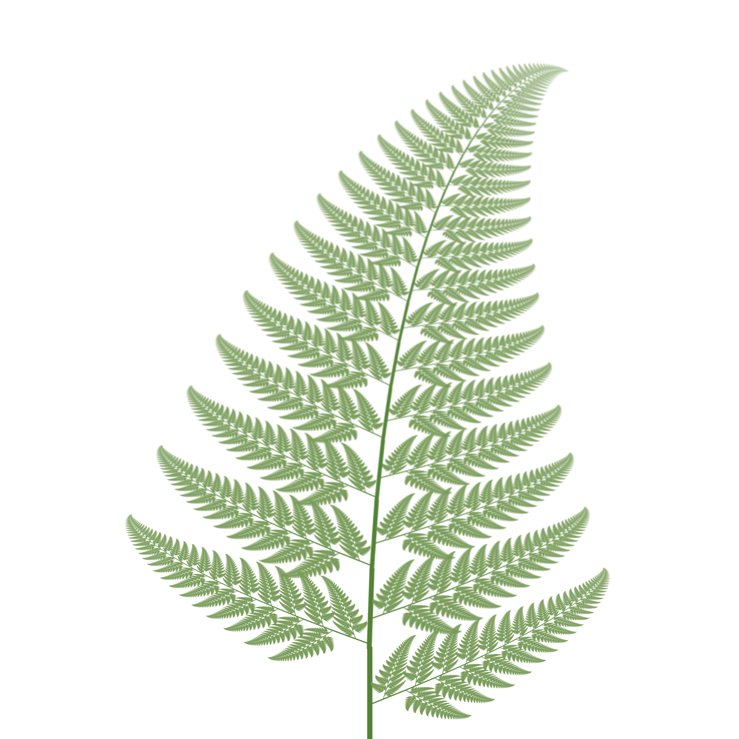 Fractal: Barnsley Fern